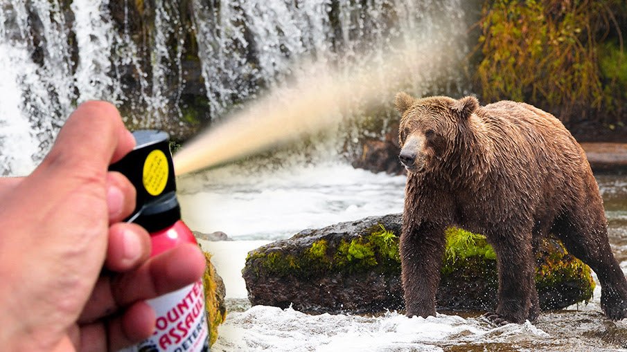 Bear Spray in Canada: Rules, Storage, and Safe Use