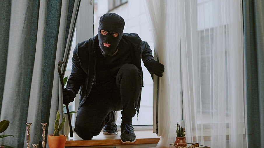 Canada's Break and Enter Laws: Is Self-Defense Allowed?