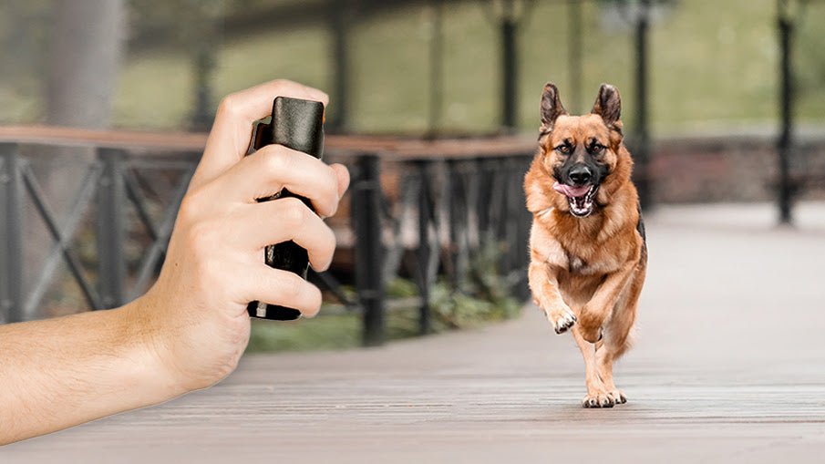 Guide: Is Dog Deterrent Spray Legal to Own in Canada?