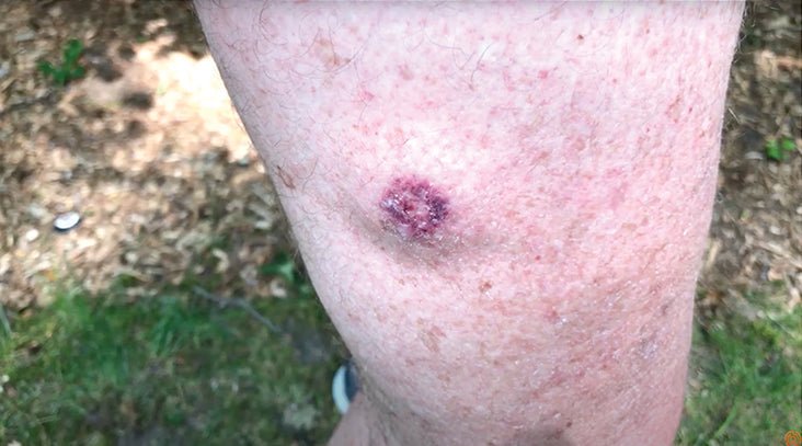 Byrna's CEO Takes One For The Team